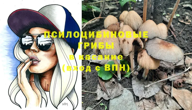 Галлюциногенные грибы MAGIC MUSHROOMS  Нерчинск 